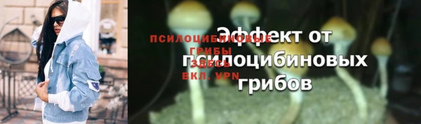 прущие грибы Алексеевка