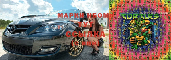 прущие грибы Алексеевка
