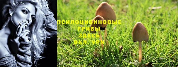 гидропоника Абинск