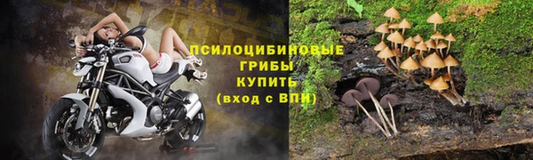 а пвп мука Алзамай