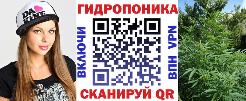 Конопля ГИДРОПОН  блэк спрут как войти  Приволжский 